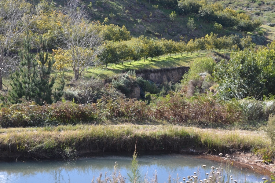0 Bedroom Property for Sale in Herbertsdale Western Cape